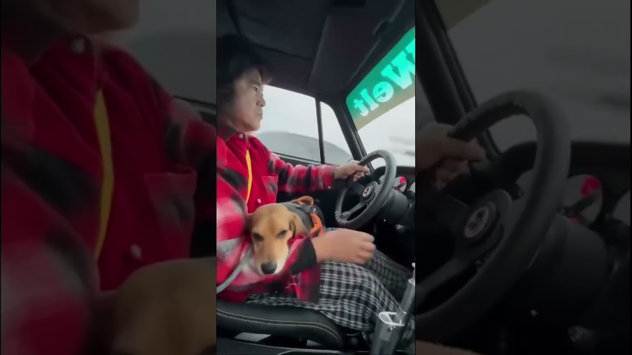 RWB Porsche in the Rain with Nakai-San and His Co-Pilot Dog! 🐕