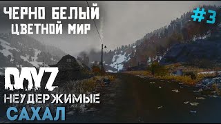 : DAYZ ..3 .    .