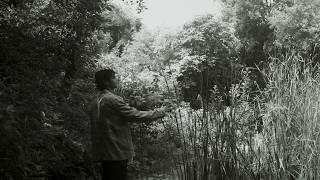 Snowflake Shards | Short Film Trailer