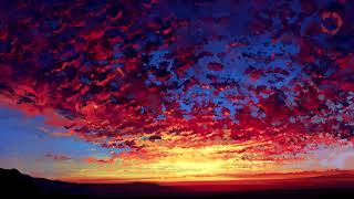 Xavier Rudd - Spirit Bird (with Lyrics)