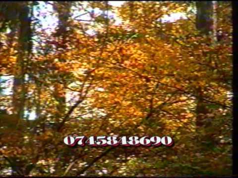 NELU LAZAR     ITI DARUIESC INIMA MEA