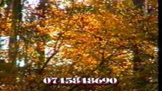 NELU LAZAR     ITI DARUIESC INIMA MEA