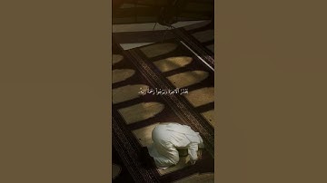 سورة الزمر | القارئ أحمد بن طالب🤍. #قرآن #القرآن_الكريم