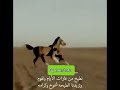 نطيح مع عثرات الايام ونقوم شعر 