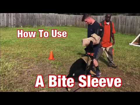How To Properly Use A Bite Sleeve - YouTube