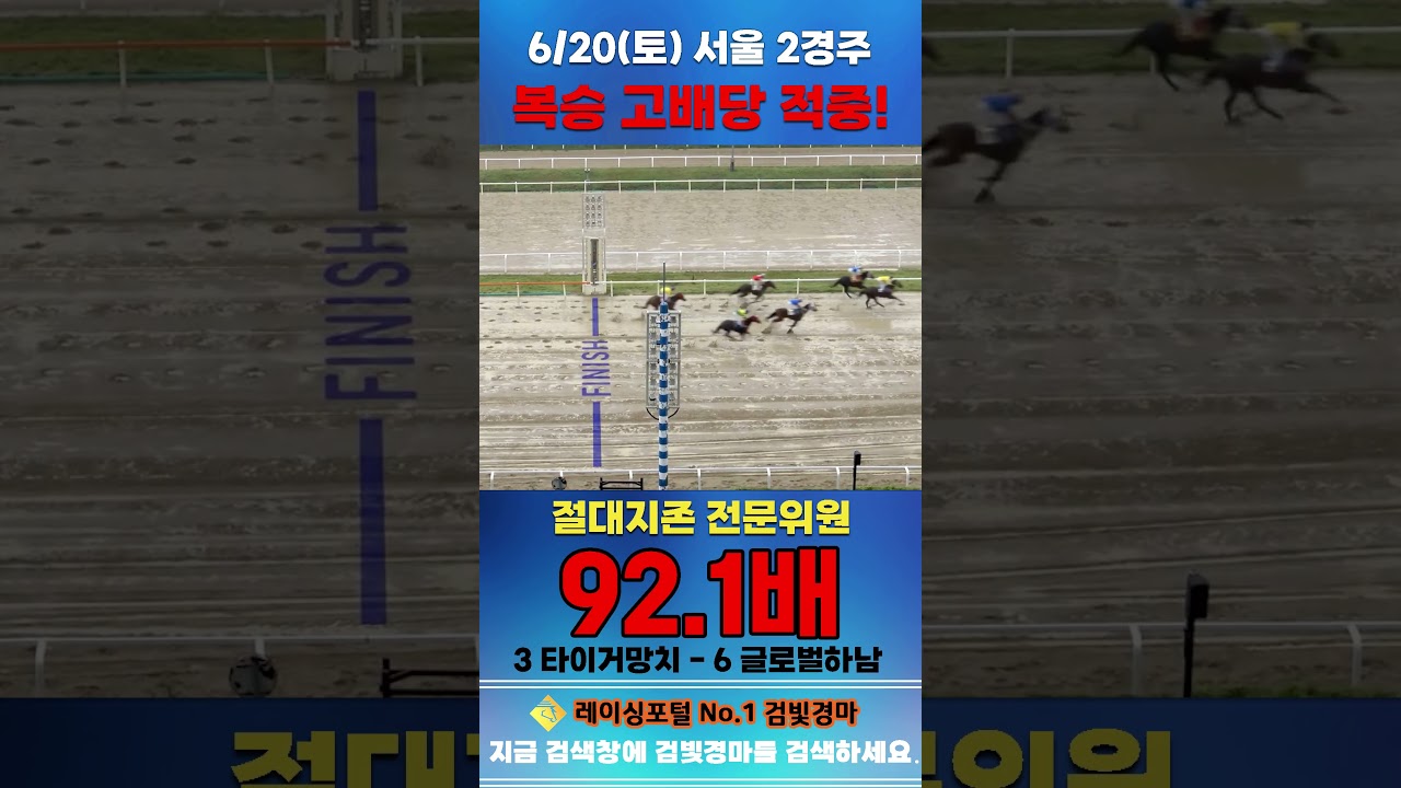 [서울 경마] 6월 20일 토요 2경주 절대지존 전문위원 복승 고배당 적중 #하이라이트 #horse #경마 #automobile #한국마사회 #riding #뉴스 #게임