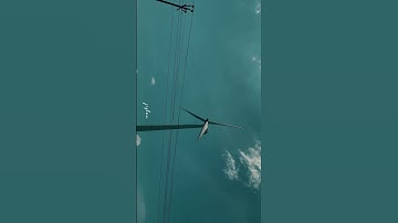 Random frames in Tamil nadu.           #youtubeshort  #vidyasagar #ramanathan #shotoniphone #travel