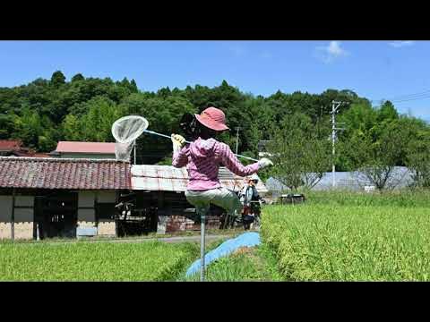 2022 8 21下白岩町アイデア田んぼかかし YouTube