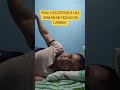 Que gatos son
