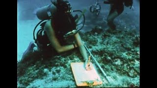Scuba Divers Underwater Research 1980