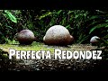 El Enigma de Las Piedras Redondas de Costa Rica