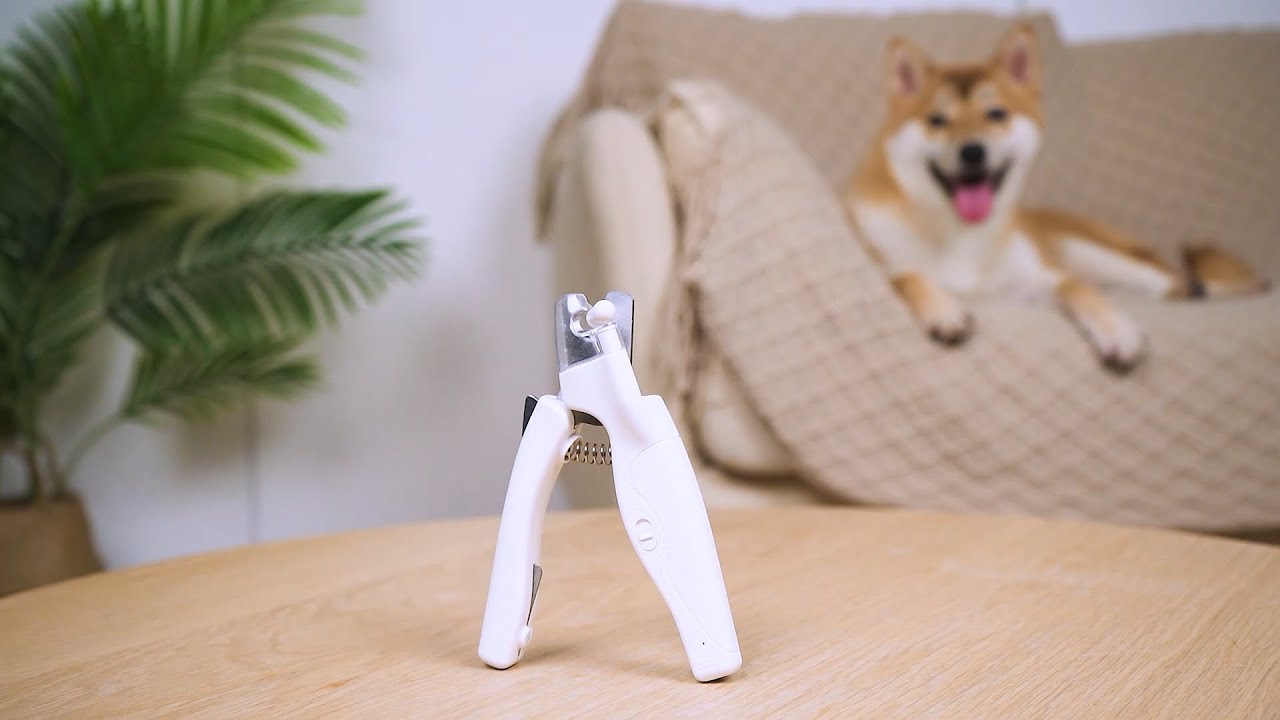 Pet Life Battery-operated White Dog/Cat Nail Clipper in the Pet Clippers,  Scissors & Brushes department at