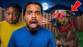 My Possessed Dog Bit Me