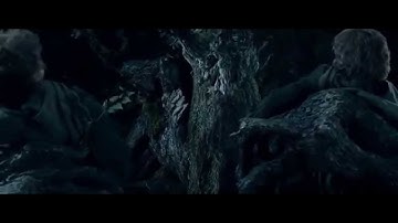 Lord of the Rings : The Two Towers Treebeard
