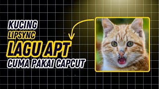 How to Make a Cat LipSyncing to APT. Using Only #capcut