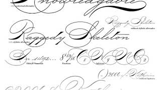 P22 Zaner Font Download