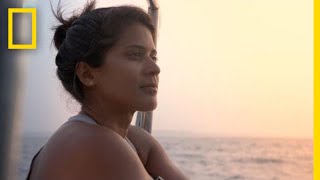 What It Means To Be A Marine Biologist The Spark