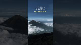 Dan Allah memerintahkan kepada manusia 🕊️#islamvideo #quran #fypシ #viralvideo #shorts