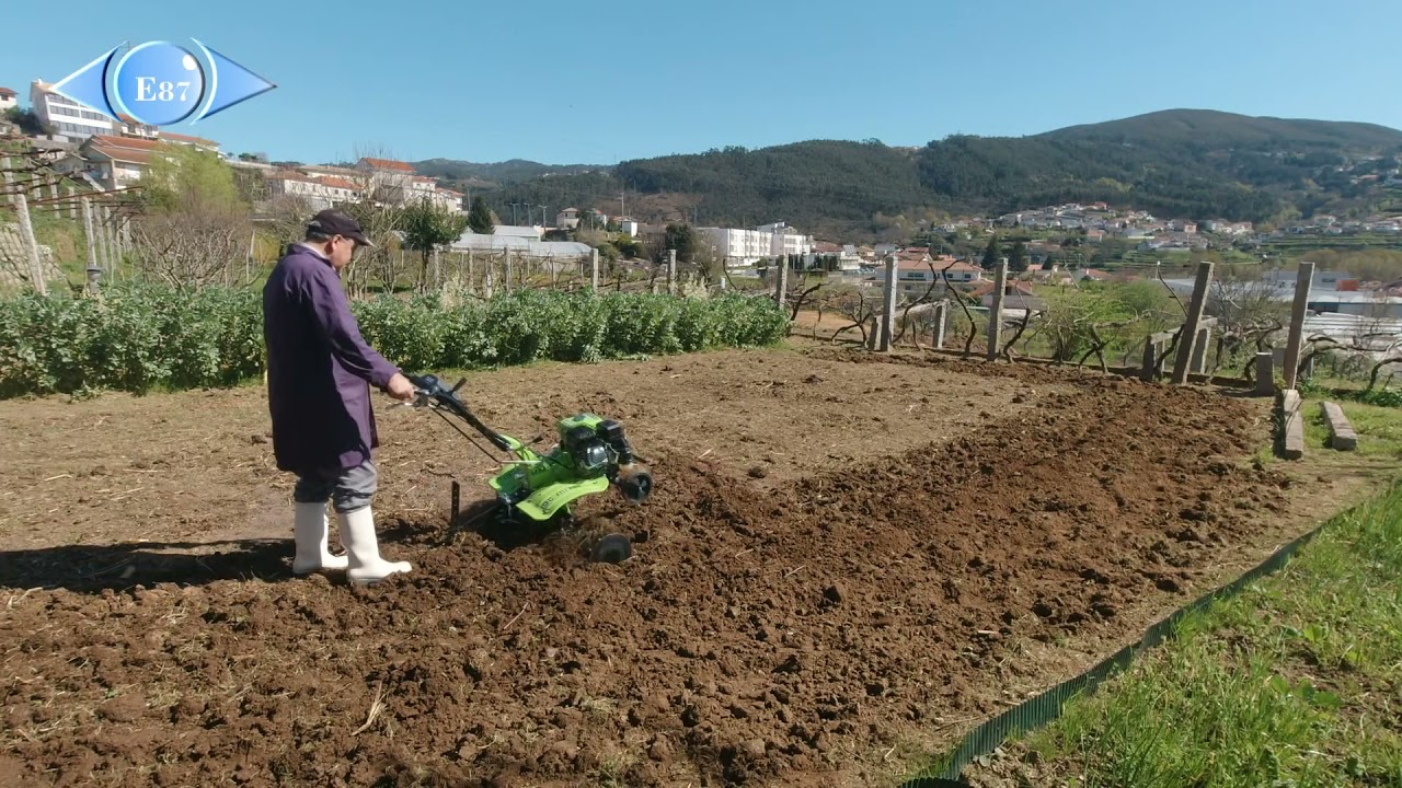 Voltar à agricultura... Dá saude e faz crescer.