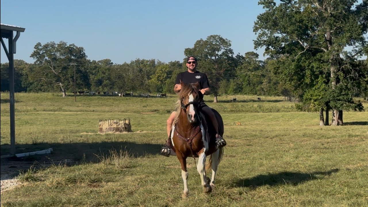 Riding My Rescue Horses - YouTube