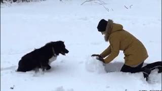 F**K your snowman (9gag) F**K your snowman (9gag)