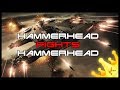 Hammerhead Fights Hammerhead