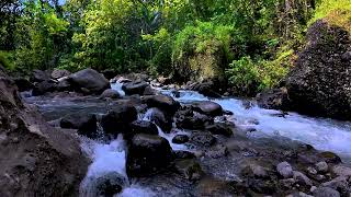 Whispering River Echoes – Drift Into Sleep, Release Inner Noise | for Peaceful Dreams, 10 Hours