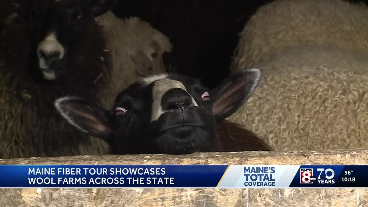 Maine Fiber Tour weaves through Kennebunkport farm