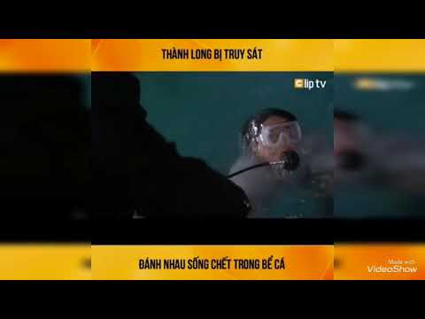 #1 phim thành Long – siêu hay – siêu hài – YouTube Thùysk Mới Nhất