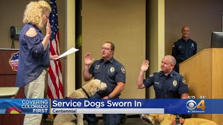 Dogs Sworn In As South Metro Fire Emergency Responder Service Dogs