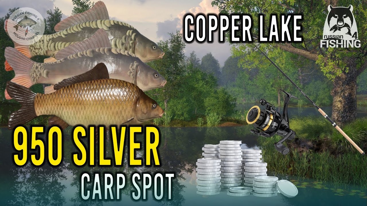 📌 Russian Fishing 4 | Pro Carp Fishing Guide at Copper Lake | F1, Leather, Linear & Mirror Carp