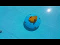 Middle of video