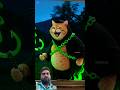 FULL MASTI CAT 🐈#funny #trending #sports #status #sorts #song #viral #facts #animals #viralvideo 😂