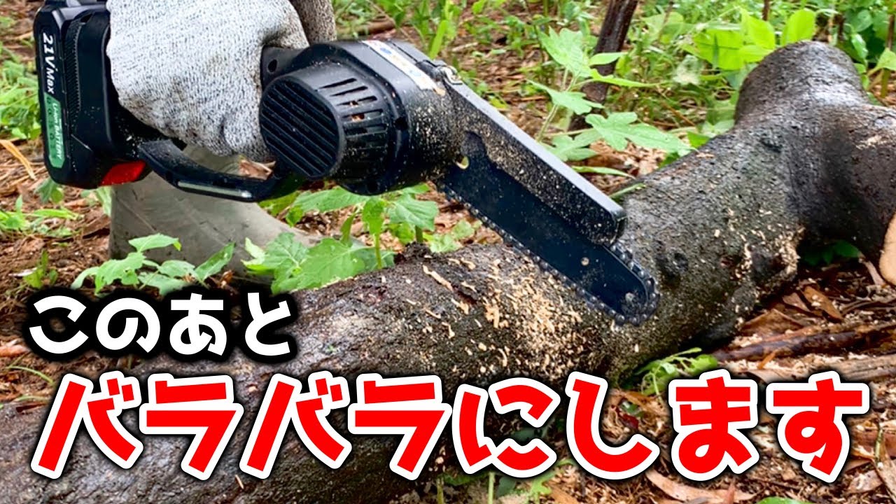 Goldsea】格安で買える充電式チェーンソーで倒木に挑んだ結果