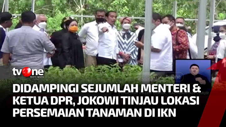 Presiden Jokowi & Sejumlah Menteri Berkunjung ke IKN, Tinjau Lokasi Persemaian Tanaman | Kabar Pagi