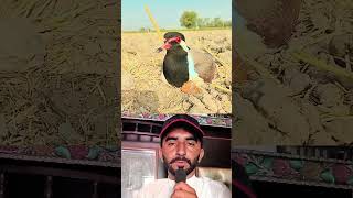 paras pathar ke bare me hairankun bat #facts #duet #answer #fifaworldcup2026 #ronaldo #messi