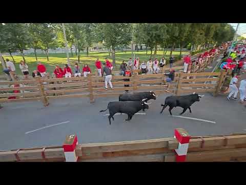Vídeo: Quinto encierro Fiestas de Tudela 2025