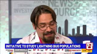 Research initiative studies Fireflies: People encouraged to participate in  Firefly Watch