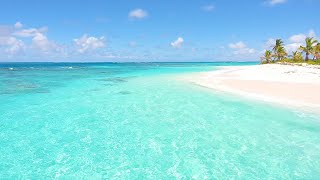 Tropical Calm: 1 Hour of Relaxing Beach Waves 💗🏝