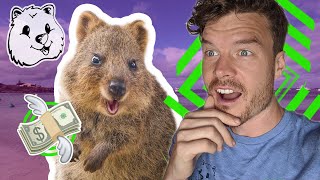 Quokka Pet for Sale - Can you BUY a Quokka? by Daxon 14,642 views 4 years ago 6 minutes, 53 seconds