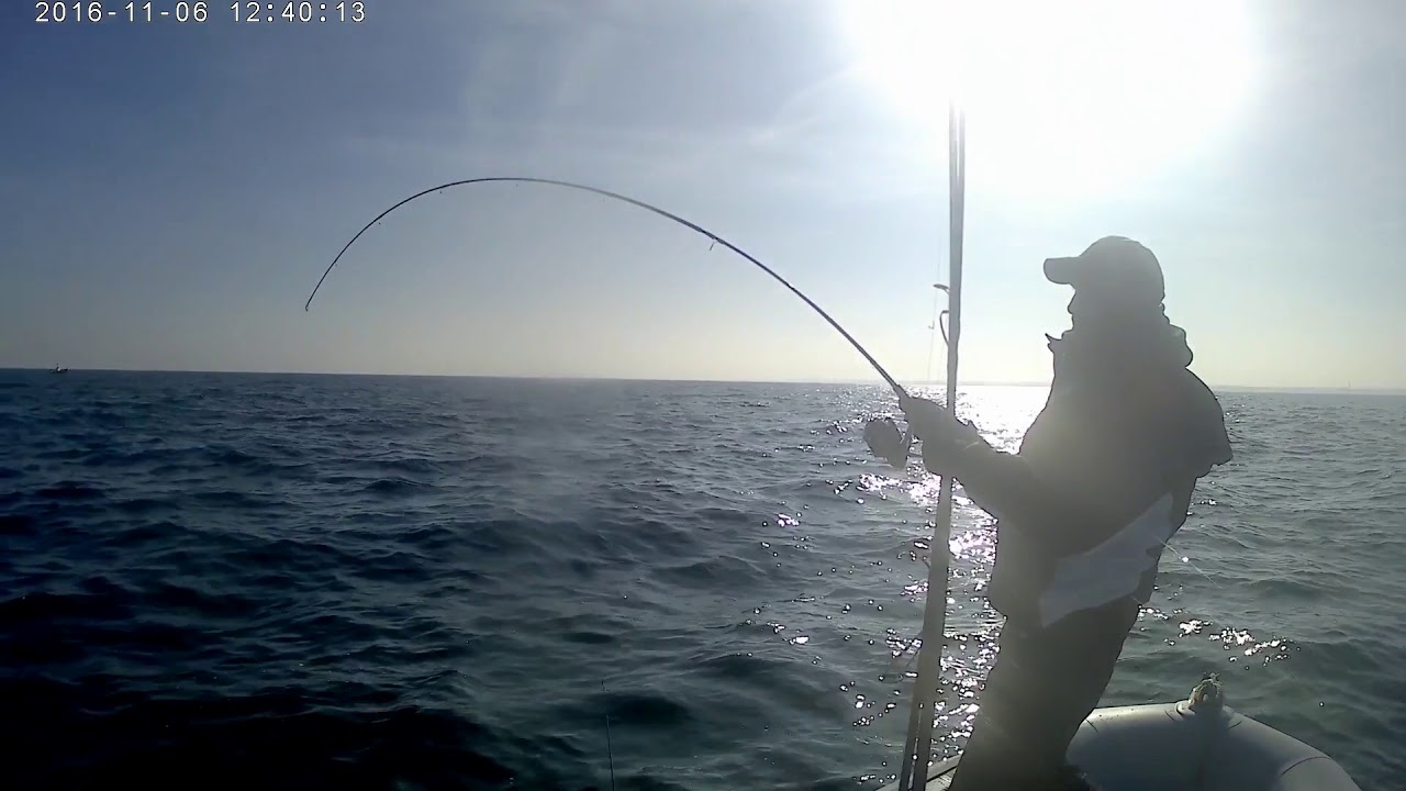 Pêche Au Bar Du Bord De Mer Aux Leurres