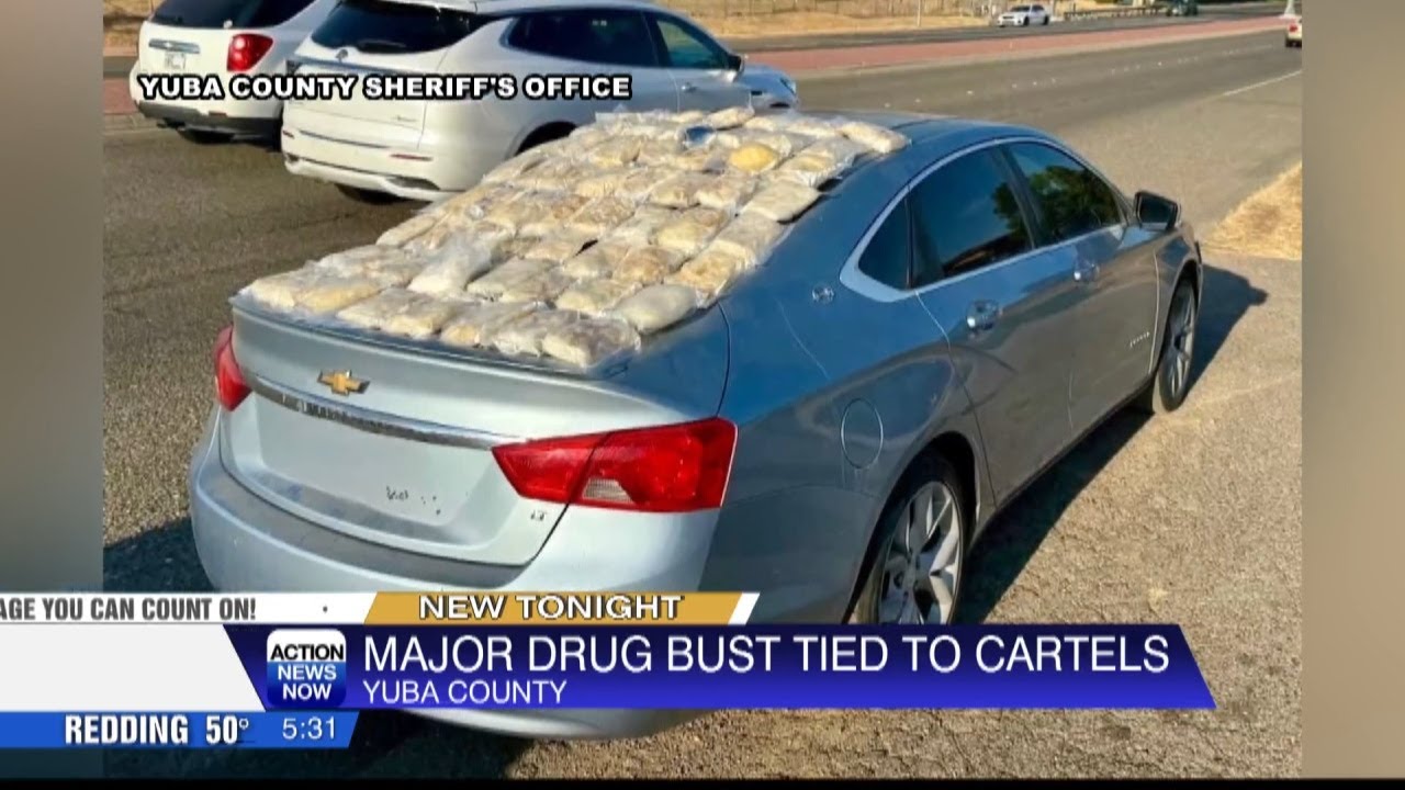 Yuba County arrests 14 in major cartel drug bust - YouTube