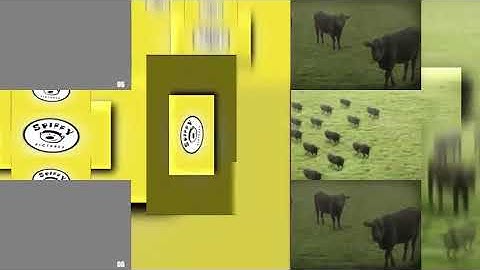 Scan Vs Round 28 Avs Version