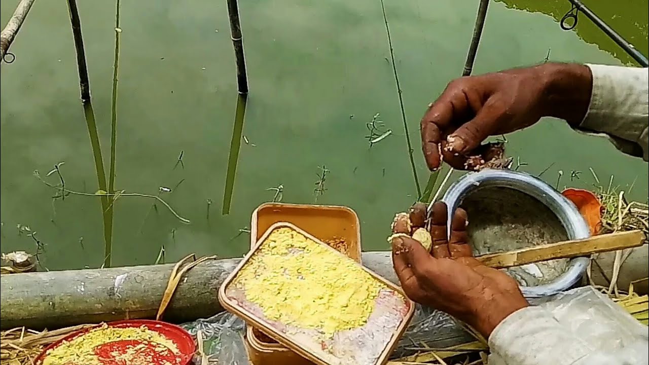Best hook fishing item ready food catching video, YouTube