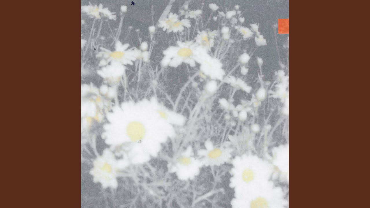 Watch Daisy Chain on YouTube Watch Daisy Chain on YouTube