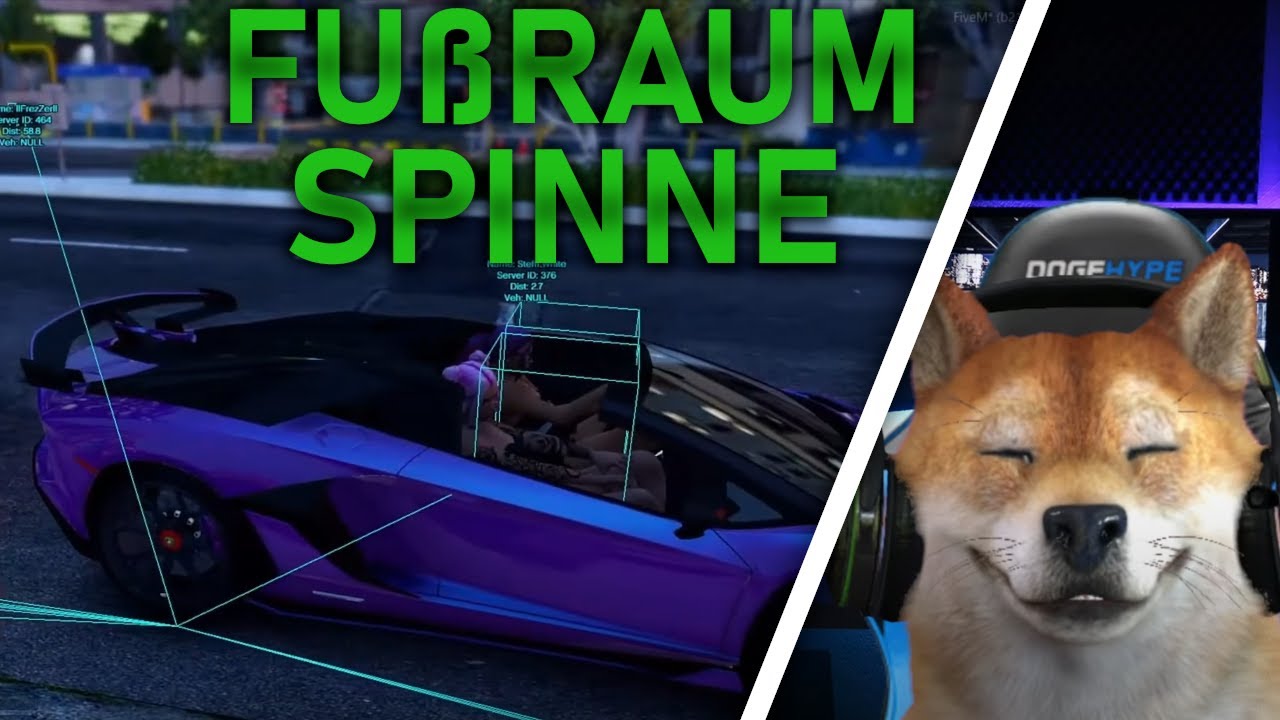 FUßRAUMSPINNE/ CSYON HIGHLIGHT/ RLO 2.0