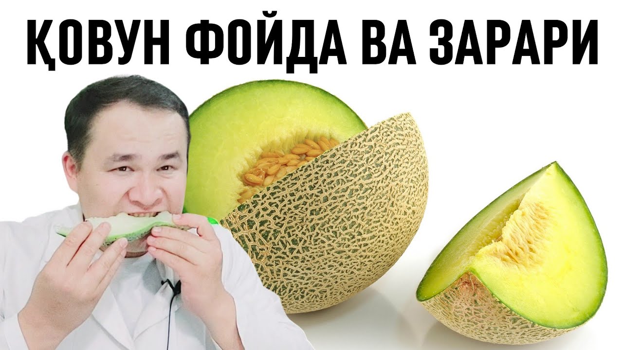 Қовун саломатлик учун фойдалари ва зарари ҳақида