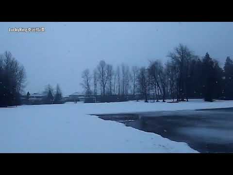 瑞雪兆丰年----2020年