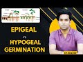 Epigeal vs Hypogeal Germination | Easy Explanation by Siraz Sir
