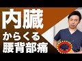 内臓からくる腰背部痛